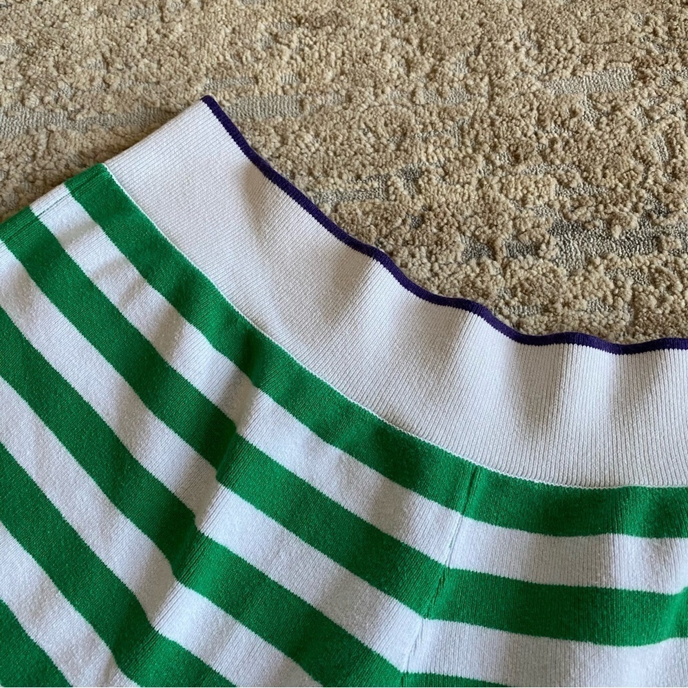 Daily Practice Anthropologie Green White Striped Shorts Tight Knit Cotton: XL - Picture 4 of 11